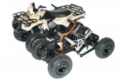 Suzuki Vinson Quadrunner